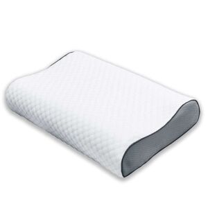 Hezberg Textile Herzberg HG-6412H0: Contour Memory Foam Pude