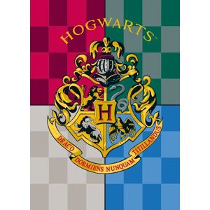 Borg Living Børnetæppe - Harry Potter - 100x140 cm - Blødt og lækkert Fleece tæppe -