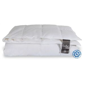 Borg Living Sommerdyne med moskusdun - 140x200 cm - allergivenlig dundyne - Excellent By Borg dyne