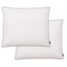 vidaXL Almohadas 2 Uds Relleno Plumón/plumas 70x60 Cm Blanco