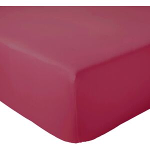 Drap housse 100% coton Tradilinge MAGENTA (Couleur : Magenta)