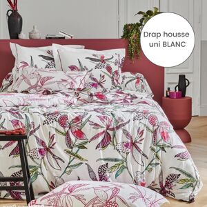 Drap housse 100% coton Tradilinge PÉNÉLOPE ROSE- Coloris BLANC (Couleur : Blanc)