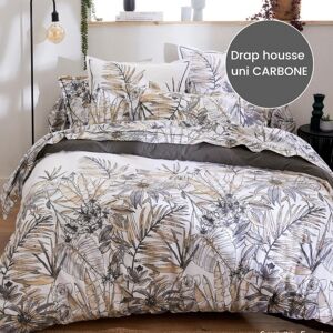 Drap housse 100% coton Tradilinge SUMATRA FUSAIN- Coloris CARBONE (Couleur : Carbone)