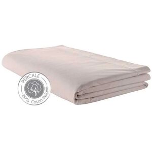 Drap plat percale Tradilinge BEIGE (Couleur : Beige)