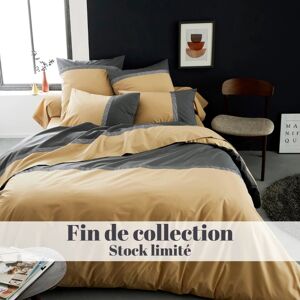 Housse de couette percale Tradilinge MACASSAR MOKA