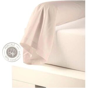 Traversin percale Tradilinge COQUILLE (Couleur : Coquille)