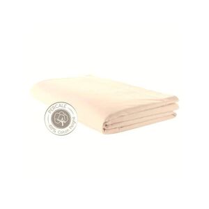 Drap plat percale Tradilinge COQUILLE (Couleur : Coquille)