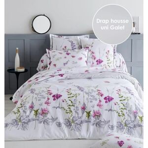 Drap housse 100% coton Tradilinge PRETTY - Coloris GALET (Couleur : Galet)