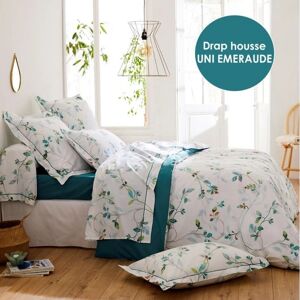 Drap housse percale Tradilinge FLÂNER JADE - Coloris EMERAUDE (Couleur : Emeraude)