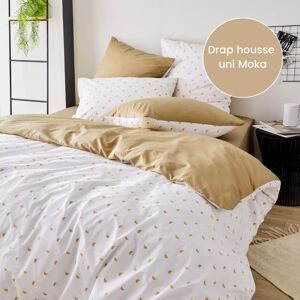 Drap housse percale Tradilinge ALEX MOKA - Coloris MOKA (Couleur : Moka)