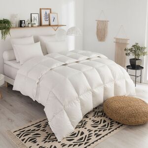 Couette duvet Tradition temperee - 70% Duvet d'Oie - 140/200 Dodo Blanc - Publicité