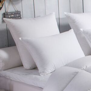 Dodo - Oreiller 70% Duvet d'Oie medium - 40/60 Blanc - Publicité