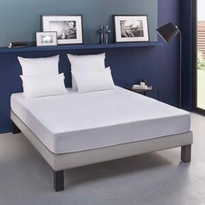 Protège matelas Bultex coton doux - bonnet extensible 20 à 30 cm 160x200 - Blanc - Publicité