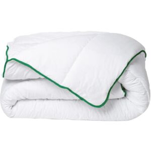 Vente-unique.com Couette tempérée traitement anti-acariens naturel de DREAMEA en microfibre - 220 x 240 cm - 300 gr/ m² - Biais vert - AZYLIA II - Publicité