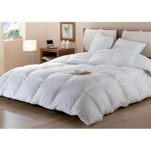 Couette DODO Naturelle Duvet - 240x260 cm - BAFFIN