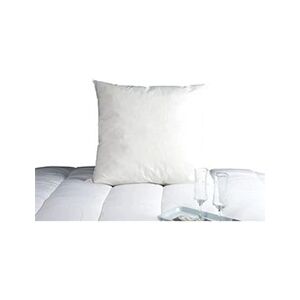 Dodo Oreiller Duvet Oie MORZINE Anti-Acariens 65x65cm blanc - Publicité