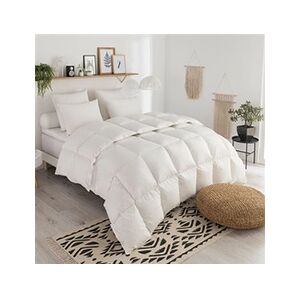 Dodo Couette duvet Tradition TEMPEREE - 70% Duvet d'Oie - 140/200 - - Publicité