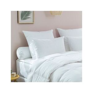 Dodo Oreiller Medium 70% duvet d'oie neuf - 50/75 - - Publicité