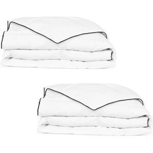 Vidaxl Couette En Duvet D'hiver 2 Pcs 155 X 220 Cm - Publicité