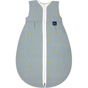 Alvi® Gigoteuse Mäxchen thermoactive Le Petit Prince gris TOG 3.0