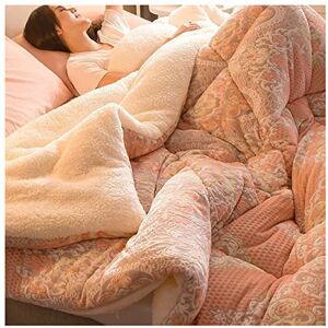 EXTLEZSA Épaissir Cachemire Courtepointe, Couette en Duvet, Couette réversible en Microfibre Chaude et légère, Courtepointe climatisée hivernale (A,200x230cm(6kg)) - Publicité