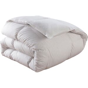 Dodo Couette 70% Duvet de Canard neuf Chaude 220x240 cm - DODO Blanc 240x0x220cm