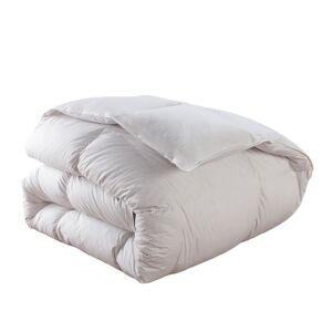 Dodo Couette 90% Duvet d'oie neuf Chaude 240x260 cm - DODO