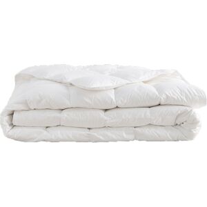 Drouault Couette Exception 100% duvet oie blanche Extra légère 220x240 cm - Dro