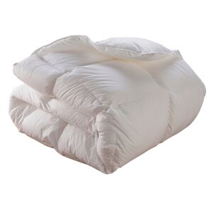 Drouault Couette Galaxie Light - 90% duvet d'oie - Temperee 220x240 cm