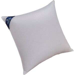 Drouault Oreiller Nepal - 70% Duvet Canard - MOELLEUX 50x75 cm