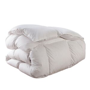 Dodo Couette Thermoduv CHAUDE - 90% Duvet d'Oie 240x260 cm - DODO Blanc 260x0x240cm