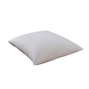 Dodo Oreiller 90% Duvet d'Oie MOELLEUX 65x65 cm