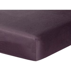 Febronie Drap housse satin de coton 160x200x30 prune - Publicité