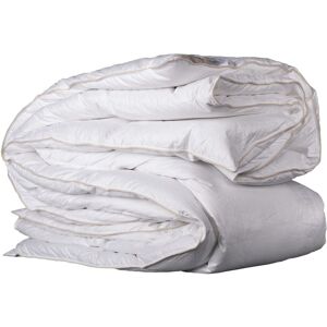 Castex Couette naturelle chaude en duvet et coton bio king size 280x240 cm Blanc 240x35x280cm