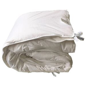 Castex Couette naturelle 2 en 1 gonflante en duvet et coton bio 260x240 cm