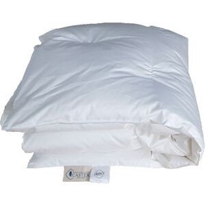 Castex Couette naturelle durable en duvet et coton bio 100x140 cm