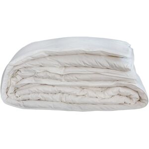 Castex Couette naturelle bi-thermique duvet et coton bio king size 300x250 cm Blanc 250x35x300cm