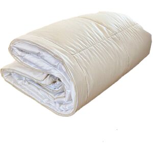 Castex Couette naturelle fine en duvet et coton bio 240x220 cm Blanc 220x35x240cm