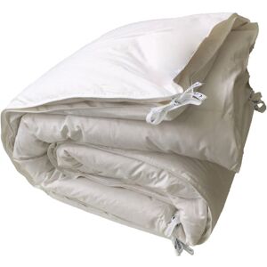 Castex Couette naturelle 2 en 1 gonflante duvet d oie et coton bio 260x240 Blanc 240x35x260cm