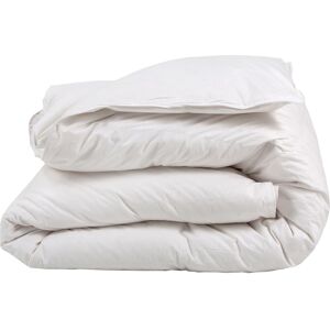 Castex Couette naturelle chaude duvet d oie et coton bio king size 300x250 Blanc 250x35x300cm