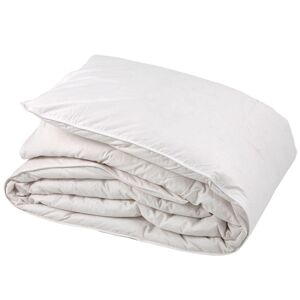 Castex Couette naturelle légère duvet d oie et coton bio king size 300x250 Blanc 250x35x300cm