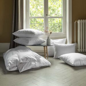 Carre Blanc Oreiller rectangulaire mi-ferme duvet de canard blanc 50 x 70 cm