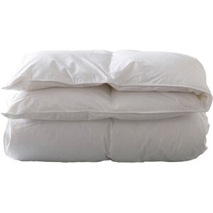 Carré Blanc Couette hiver duvet de canard blanc 260 x 240 cm