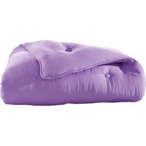 Becquet Couette 200x200 violette en polyester 200 g/m² - Publicité