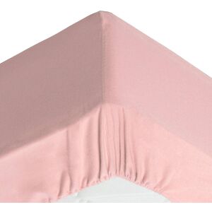 Becquet Drap-housse grand bonnet 180x200x32 rose poudre en coton