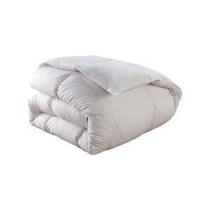 DODO Couette Tempérée 70% duvet d'oie neuf - 240/260 - DODO