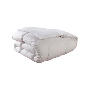 DODO Couette Tradition CHAUDE - 50% Duvet de Canard - 240/260 - DODO