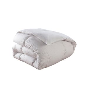 DUNLOPILLO Couette Premium Naturelle Tempérée - 30% duvet - 220/240 - DUNLOPILLO