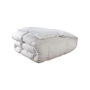 DODO Couette Tradition LEGERE - 70% Duvet d'Oie - 220/240 - DODO