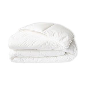 Couette TEMPÉRÉE Extra Gonflante - Coton Bio - Colette - 220/240 - Wake Me Green